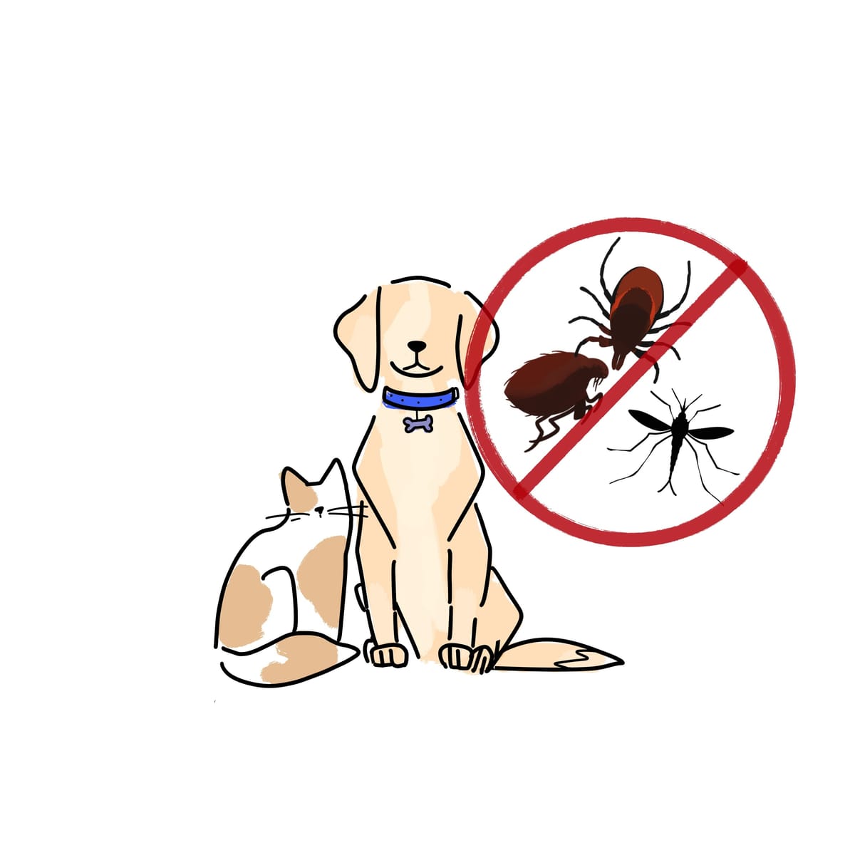 Illustration of a dog and cat protected from fleas, ticks and mosquitoes